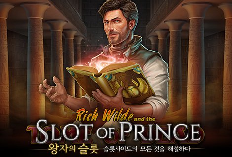 플레이앤고-리치와일드